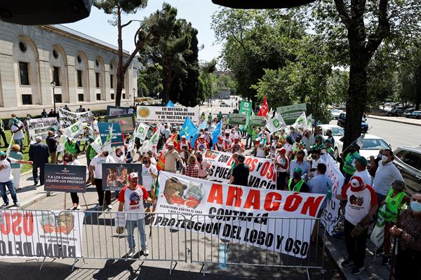 Manifestantes participan en la concentración convocada por asociaciones agrarias para pedir que se reduzca la protección al Lobo ibérico ante el Ministerio de Transición Ecológica, este miércoles, en Madrid. EFE/Zipi