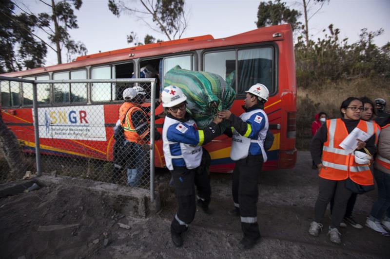 Reparto de pasto para los animales.