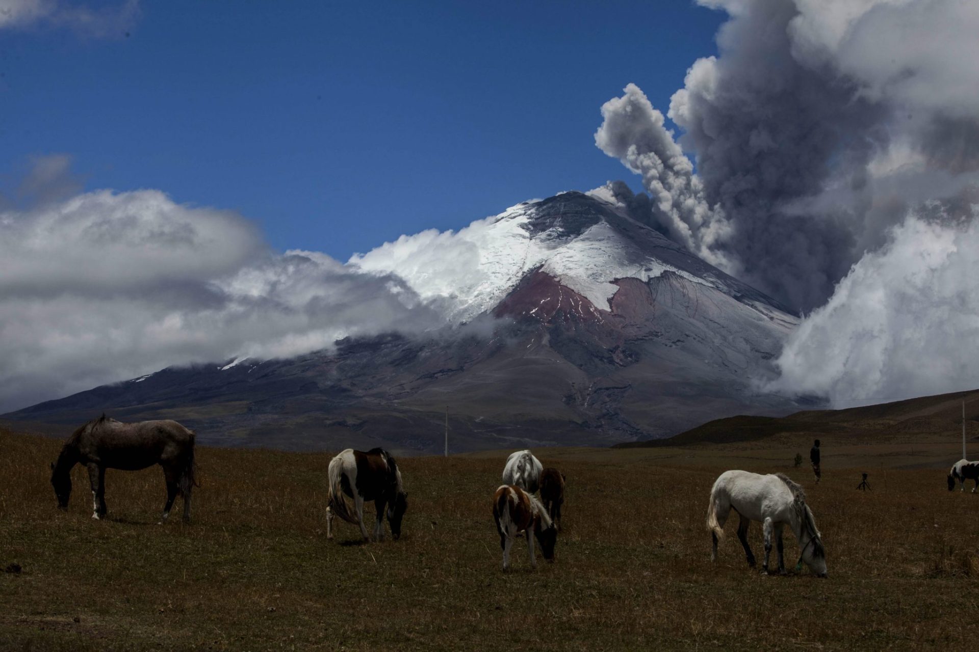 Reabren el Parque nacional del volcán Cotopaxi dos años después de la última erupción.