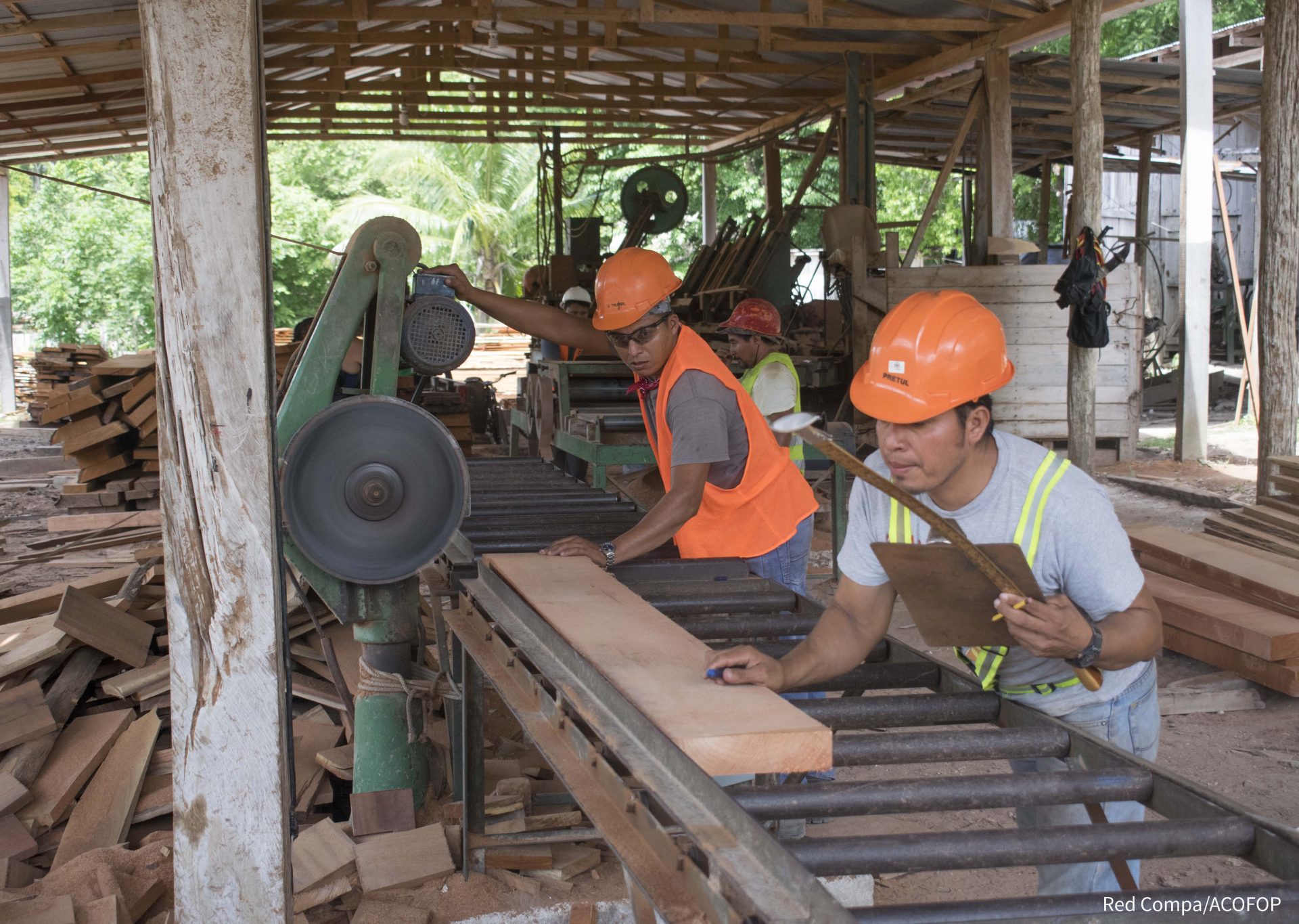 Forestería comunitaria en el Petén, Guatemala