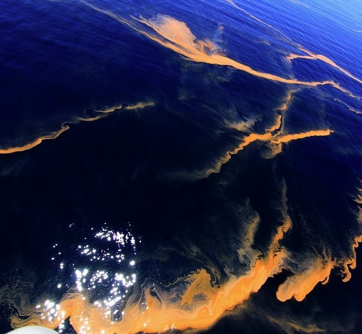 Mancha de algas detectada en Gran Canaria en una imagen facilitada por el Banco Español de Algas (BEA).EFE