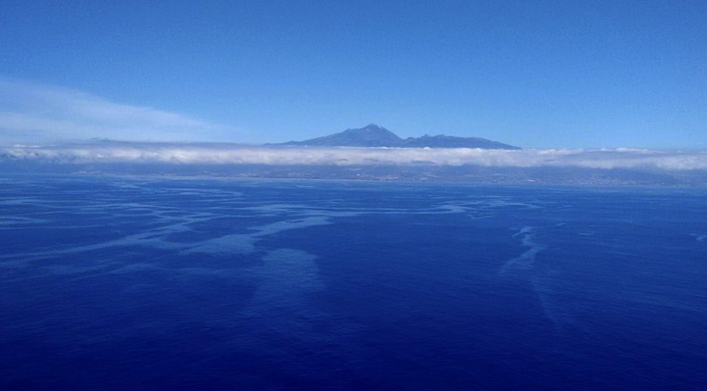 Foto de WWF de manchas de fuel procedentes del "Oleg Naydenov".