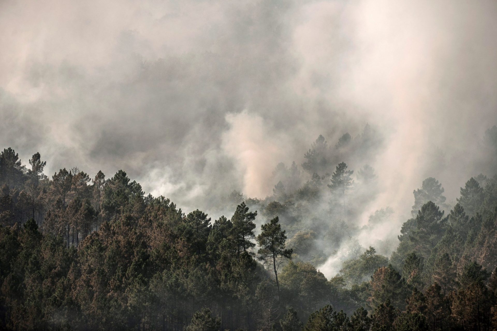 Quince incendios en tres provincias gallegas.