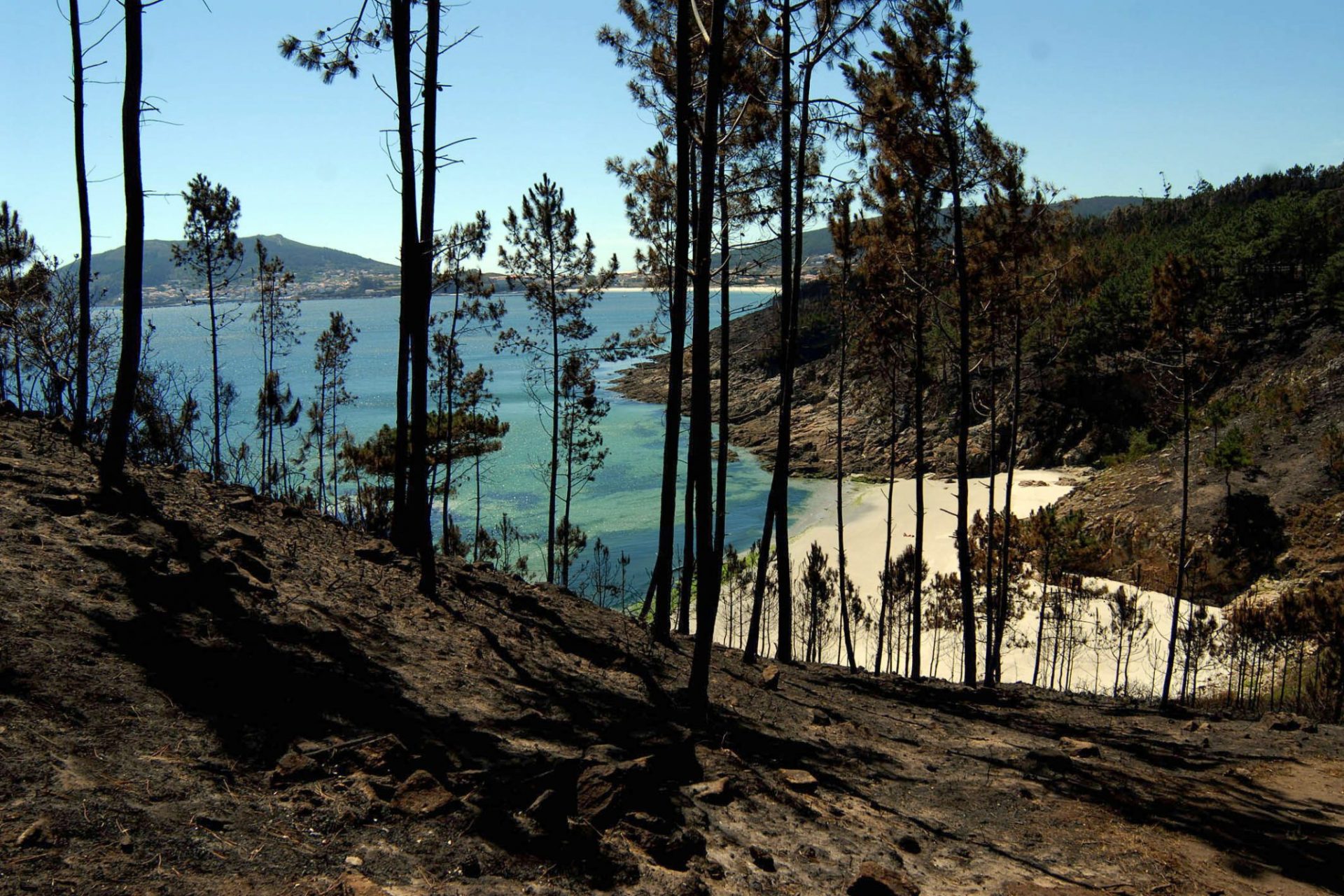 Detenido en Galicia un pirómano reincidente.