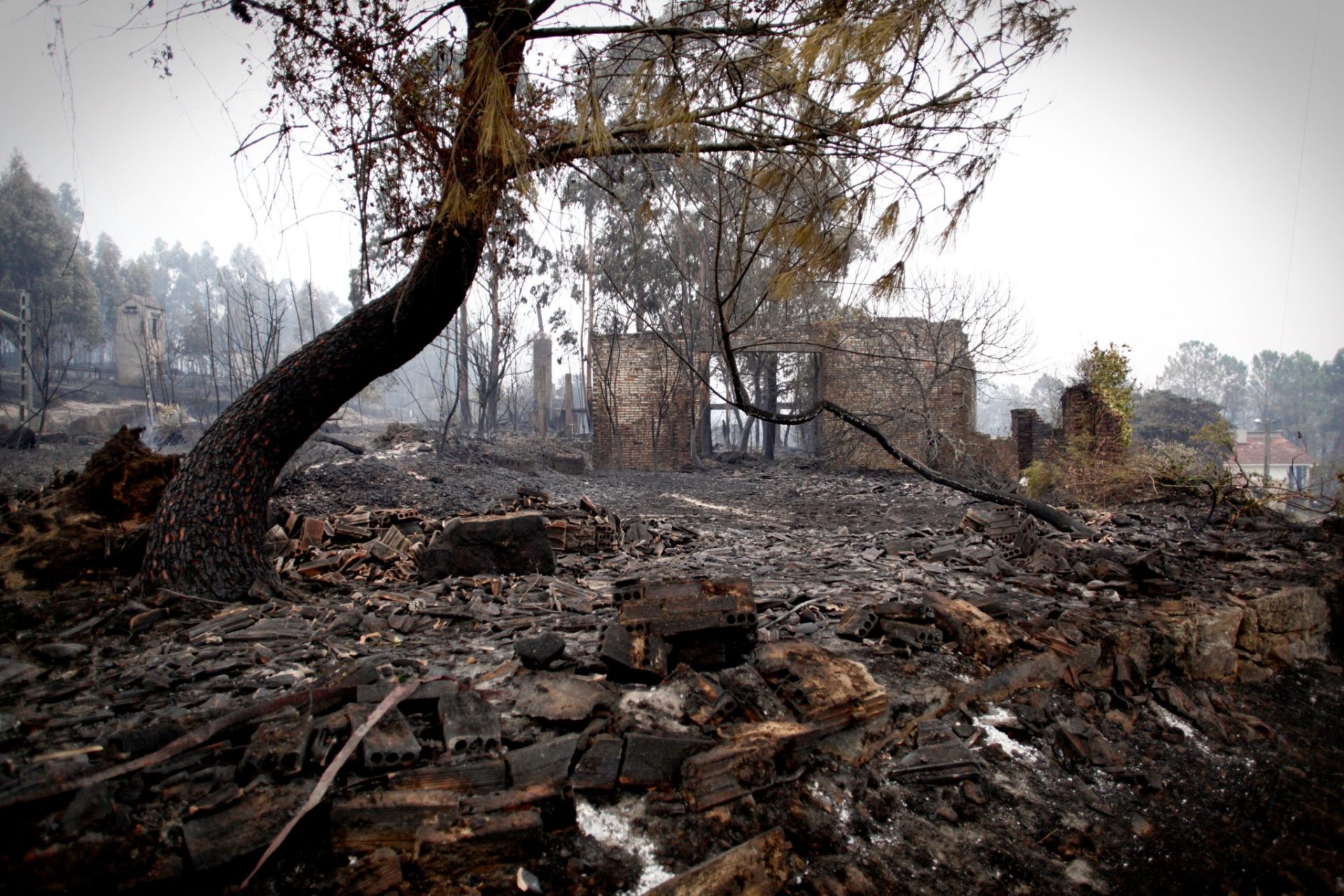 Detenida una vecina de Mos (Pontevedra) por su relación con varios incendios.