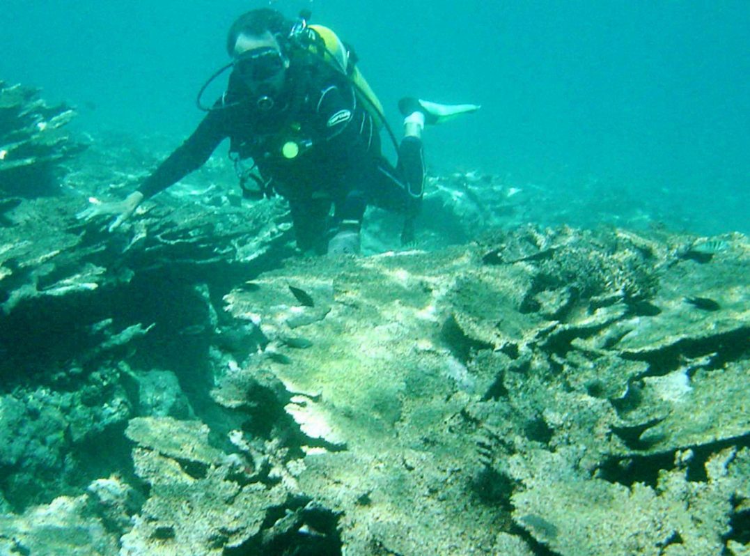 Australia excluida del informe de la ONU sobre peligros del cambio climático.