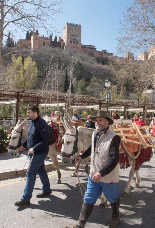 Jara y Tomillo marcan el ritmo de la marcha hacia la Fuente del Avellano.
