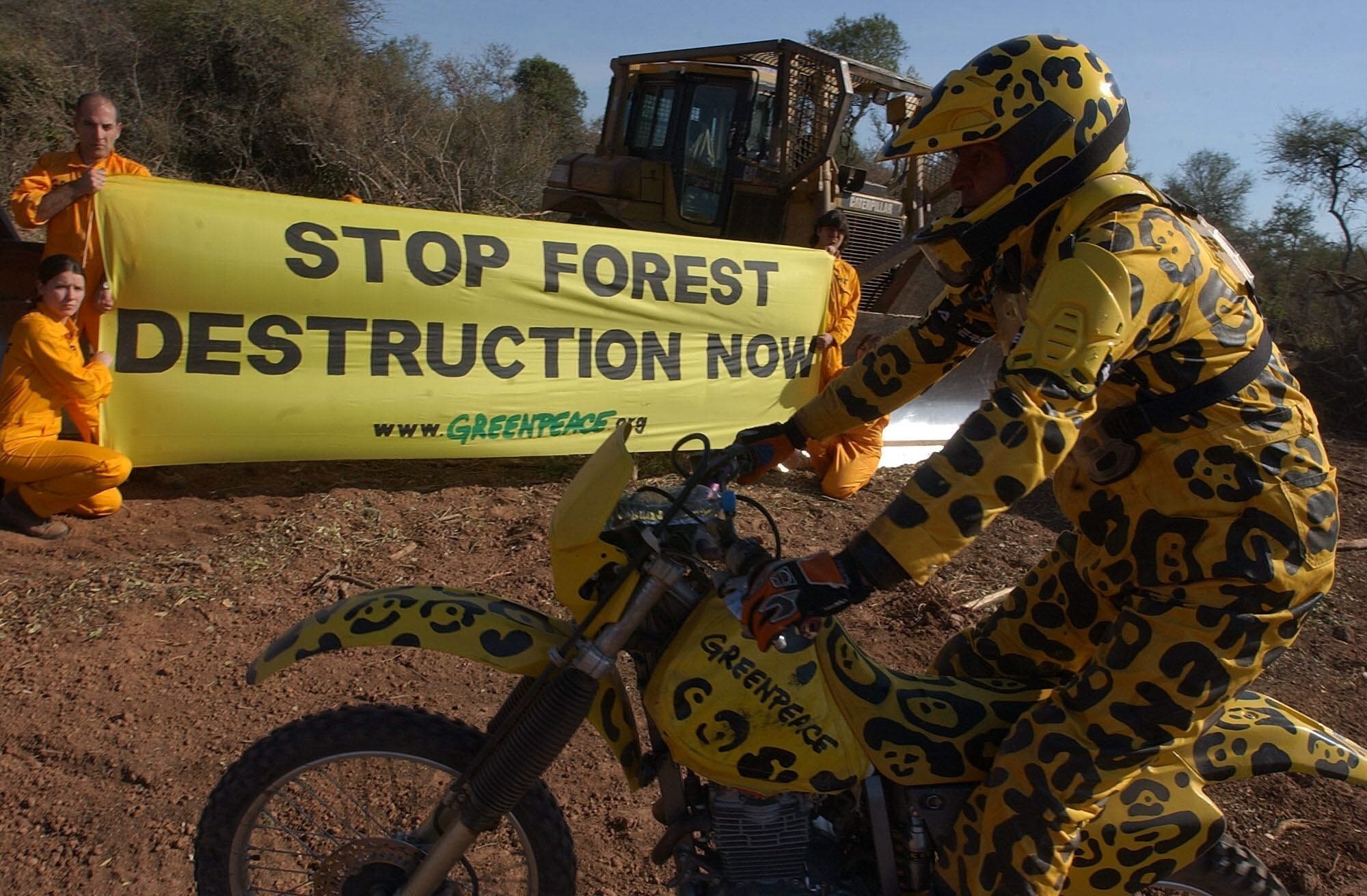 Los "jaguares" de Greenpeace en una protesta por la deforestación en Salta, 