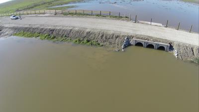 Obras en el Guadiamar hechas por la Confederación Hidrográfica del Guadalquivir (CHG). 