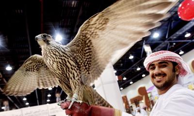 Un adiestrador muestra un halcón durante una feria comercial de Caza y Equitación de Abu Dhabi.