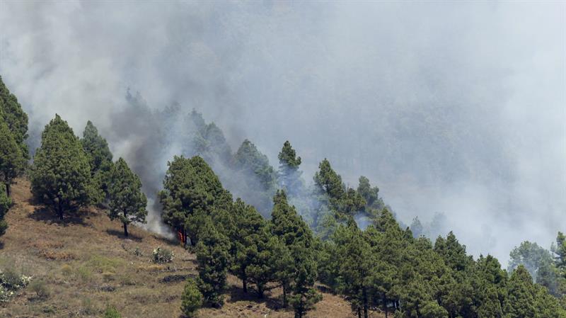 Incendio del bosque en Villa de Mazo.