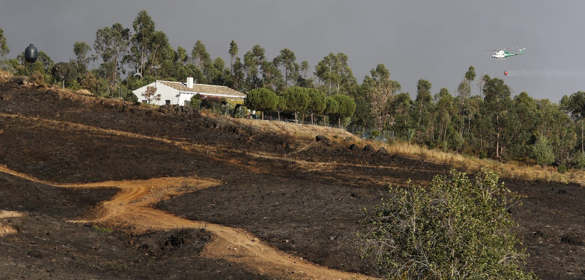 El incendio de El Castillo de los Guardas, el mayor de Andalucía en 2016.