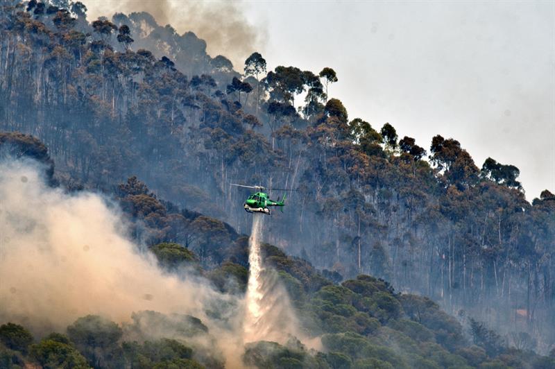 Investigan el origen del incendio que ha quemado 22,4 hectáreas en Blanes (Girona).