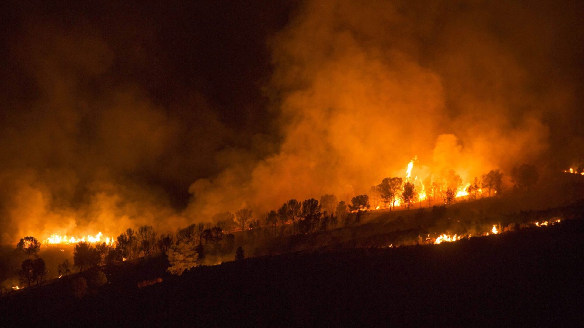Incendio forestal en el Cañón de Almadenes, en Cieza (Murcia)