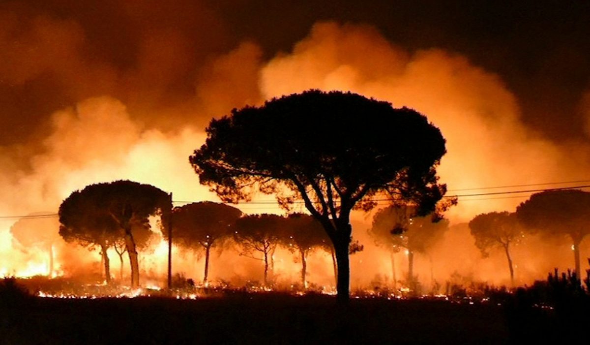 La Junta de Andalucía elevará a la fiscalía la investigación sobre el incendio de Moguer.