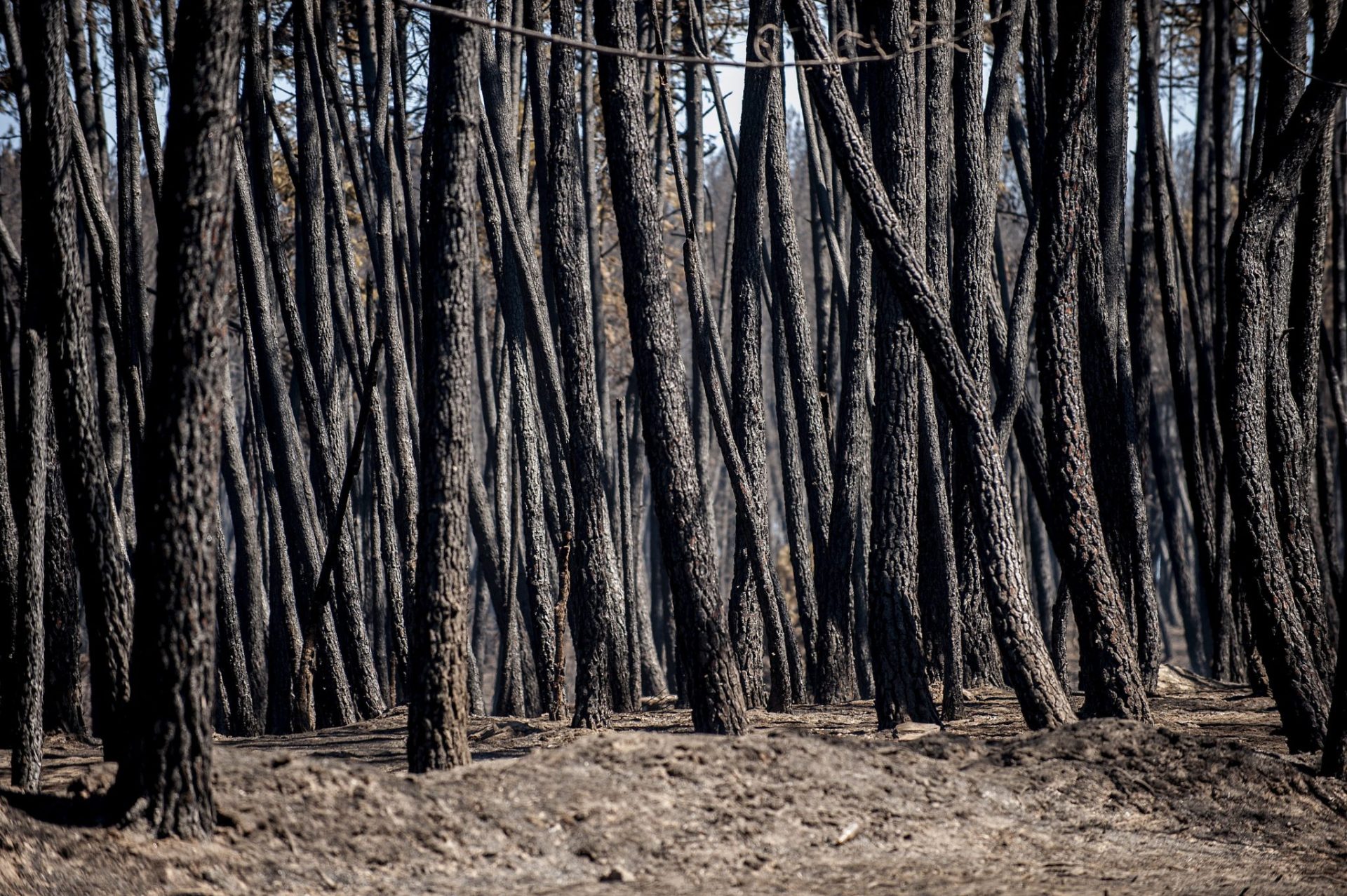 El incendio de Verín ha quemado ya 1.360 hectáreas.