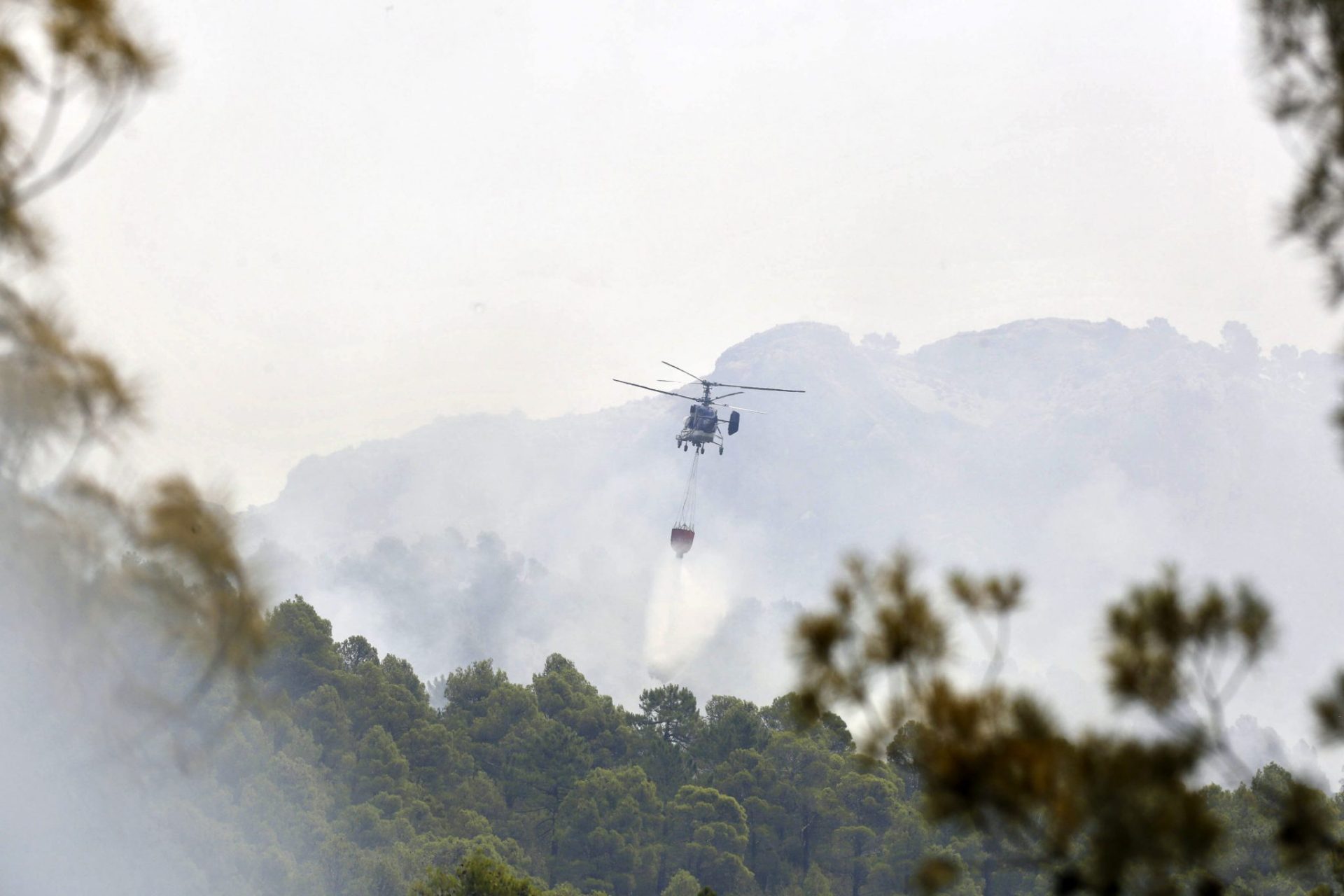 Quinto día de lucha contra el fuego en la Sierra del Segura (Albacete).