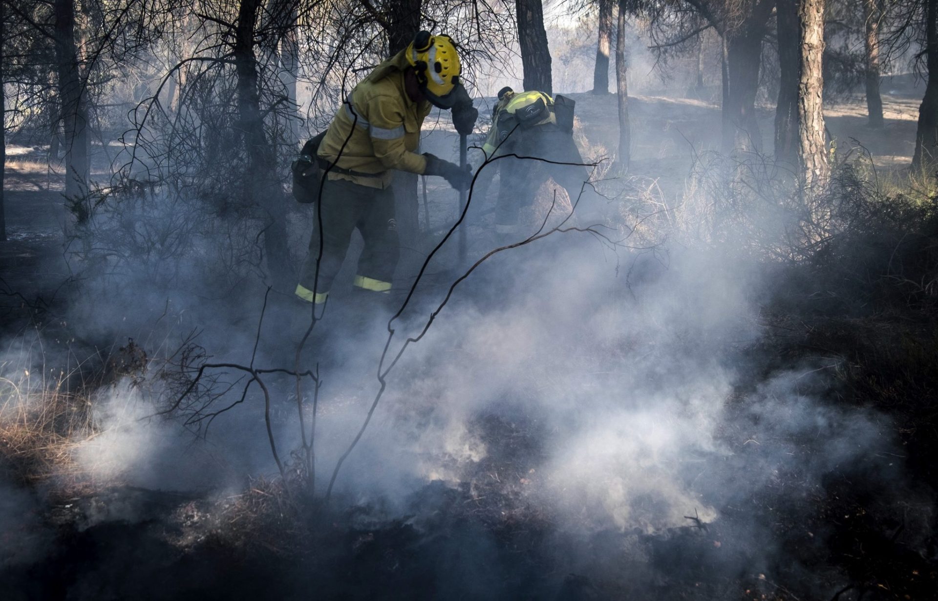 En Guadalcanal (Sevilla) todos creen que los 4 incendios han sido intencionados.