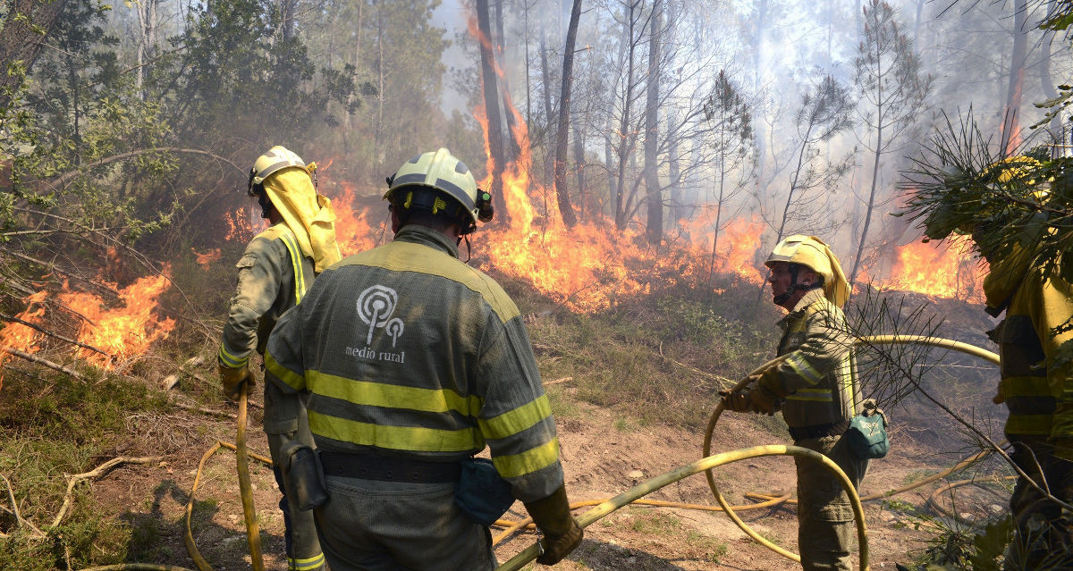 incendios forestales