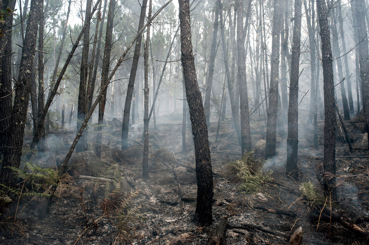 incendio