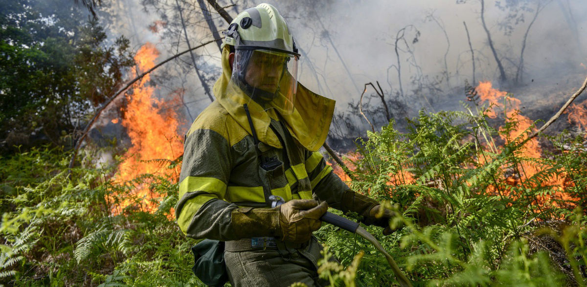 incendio forestal