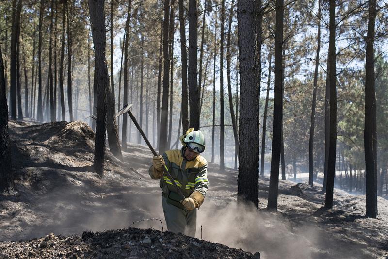 Un brigadista trabaja en el incendio forestal de Verín.