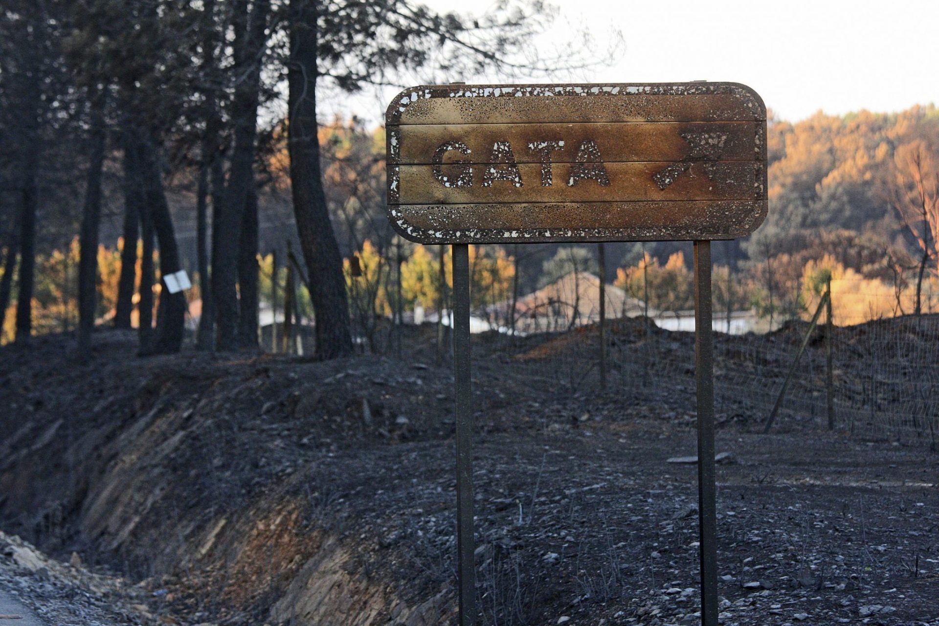 Efectos del incendio en la Sierra de Gata.