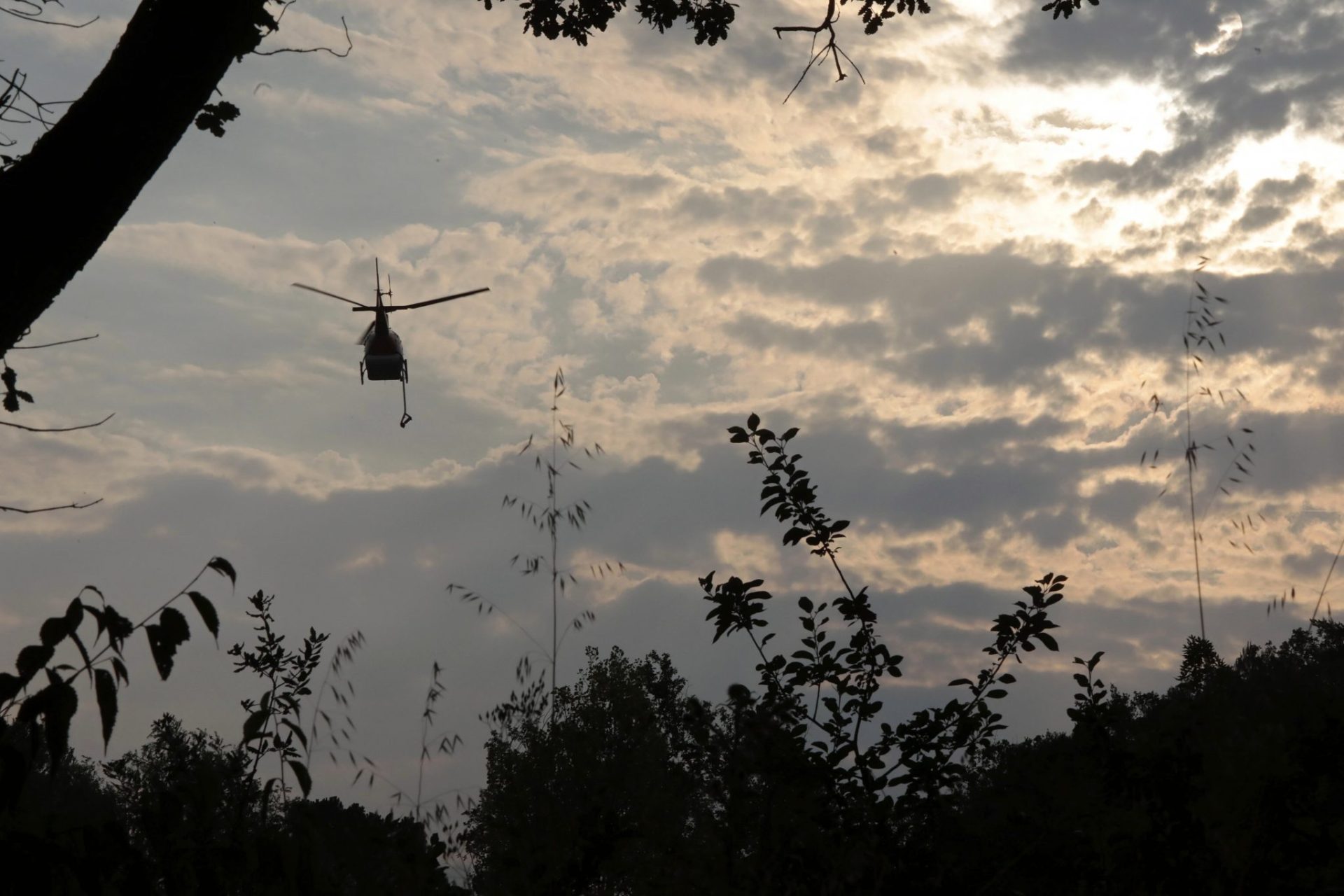 Controlado el incendio de la Sierra de Gredos, que ha quemado 500 hectáreas.