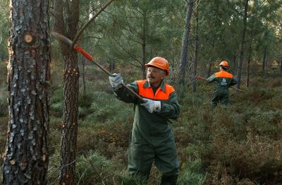 La prevención y la gestión forestal es una tarea que no se puede limitar al verano.
