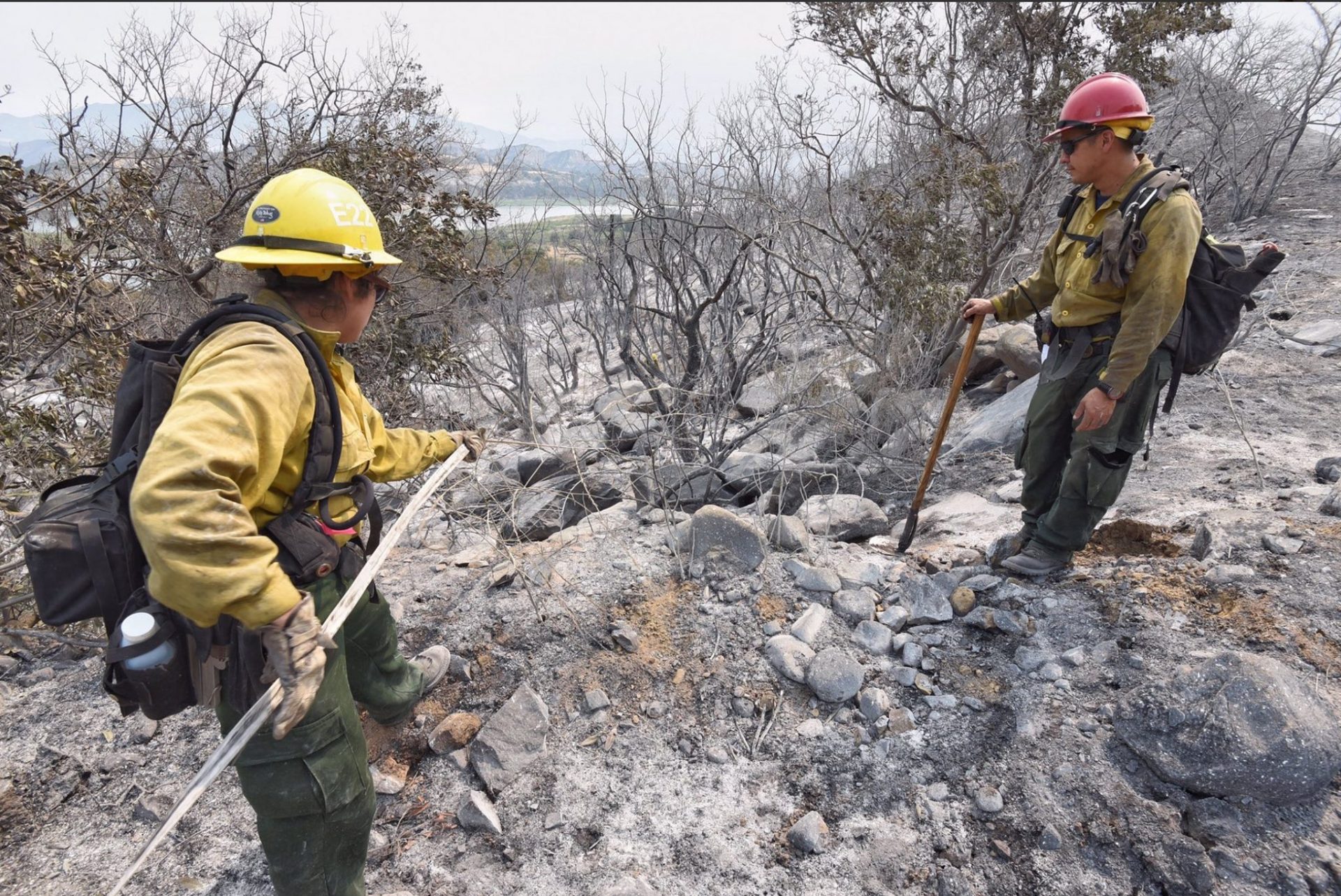 EEUU: temperaturas récord e incendios, peligrosa combinación en el oeste del país.