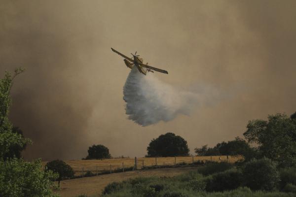 Labores de extinción del incendio forestal que se ha producido en la localidad zamorana de Pino del Oro y que la Junta de CyL ha declarado nivel 2 por la cercanía a la Nacional 122. EFE/Mariam A. Montesinos.