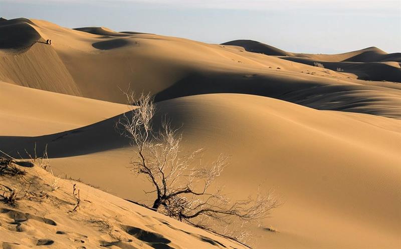 Vista de la zona de dunas del Desierto de Lut (Irán). 