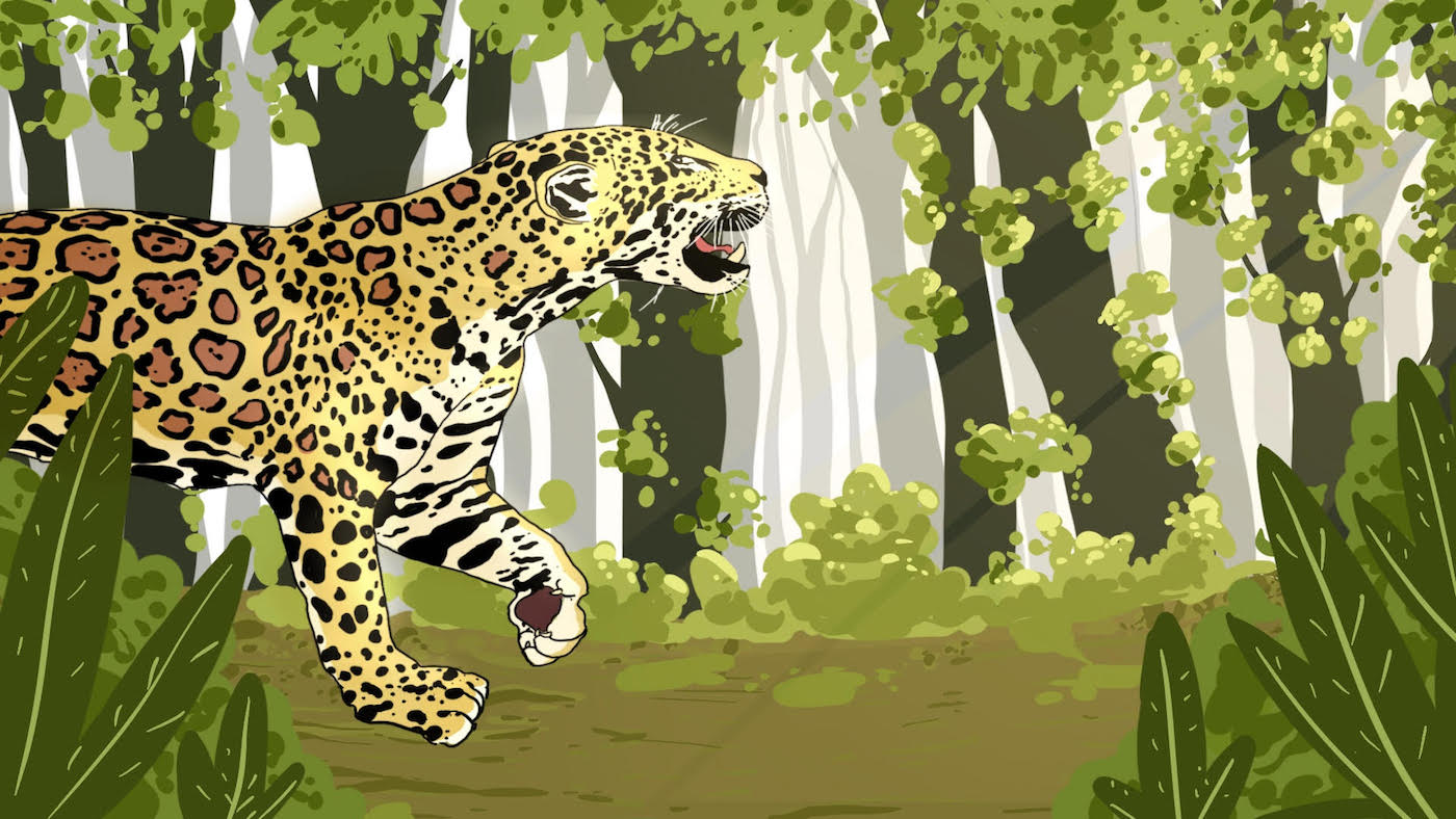 jaguares américa del sur