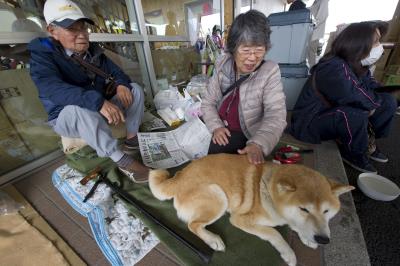 Una pareja descansa junto a su perro en un centro de evacuación en Mashiki, en la prefectura de Kumamoto tras el mayor terremoto registrado este año en Japón.