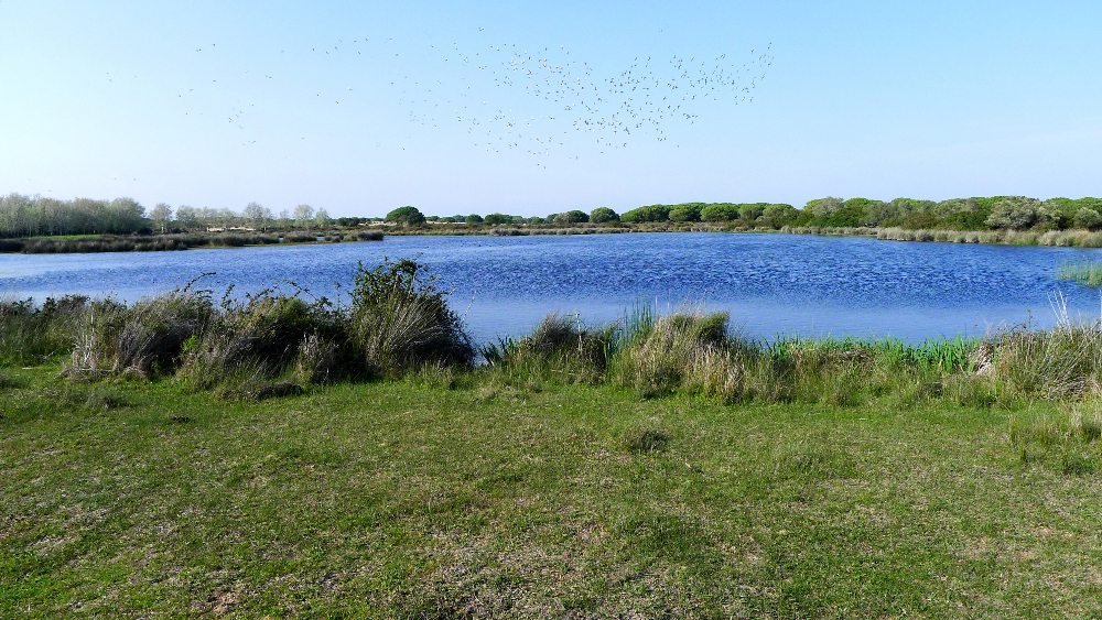 ESPAÑA RESIDUOS NUCLEARES:GRA358. CUENCA, 28/07/2015.- Vista de la Laguna del Hito, en Cuenca. Castilla-La Mancha ha iniciado hoy los trámites para ampliar el espacio reconocido como Red Natura en la Laguna del Hito, en Cuenca, para pasar de mil a 25.000 hectáreas protegidas, que incluye los terrenos en los que se proyecta el Almacén Temporal Centralizado (ATC) de residuos nucleares. EFE/Santiago Torralba