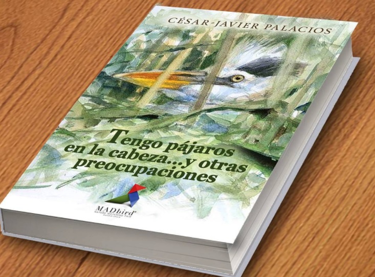 “Tengo pájaros en la cabeza…y otras preocupaciones”