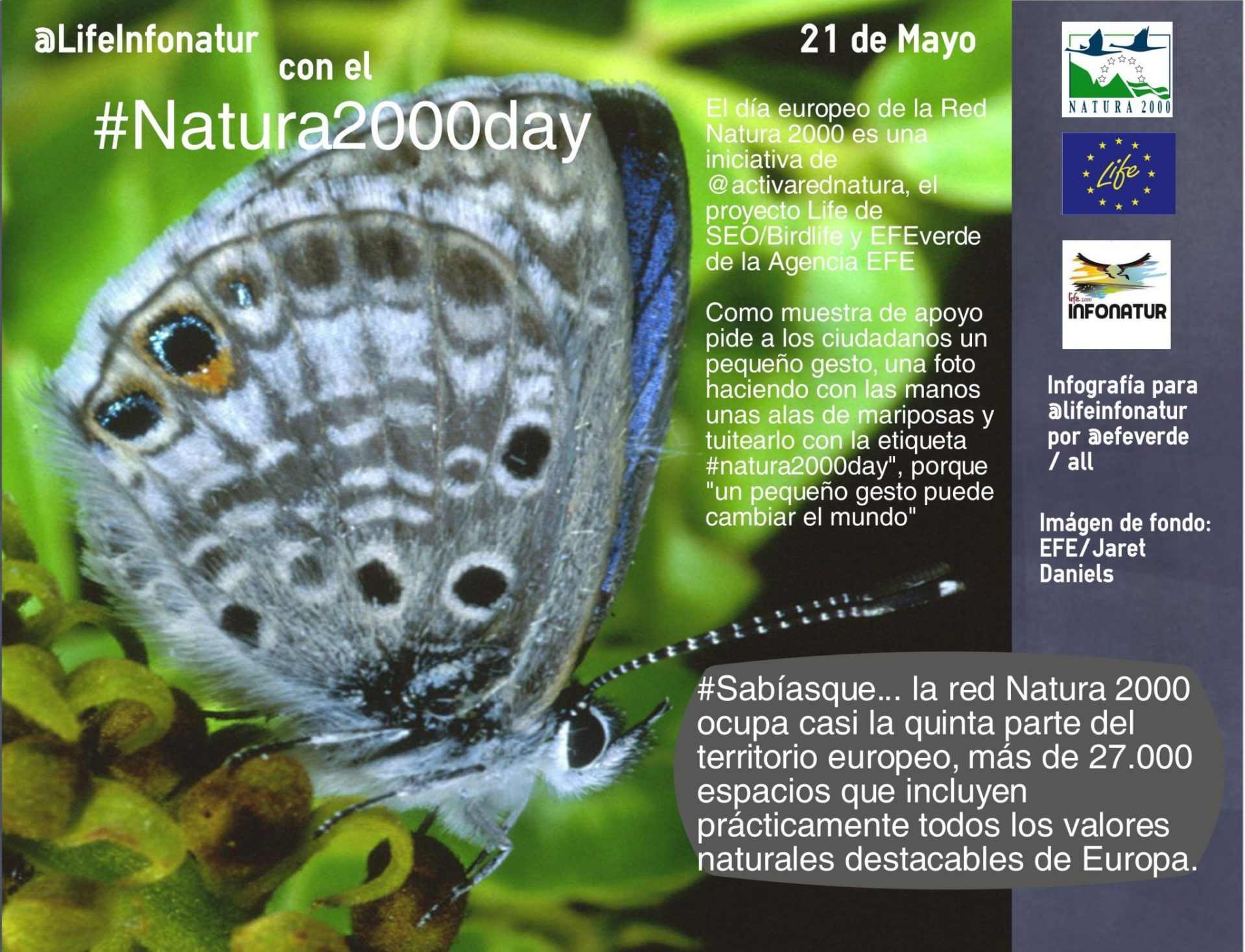 lifeinfonaturconelnatura2000day6