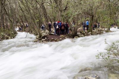 La lluvia en el Mediterráneo ha cargado de humedad la biomasa de los montes, dice el decano de Montes. 