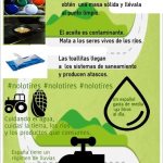 Infografía "Lo que el agua se llevó". EFEverde/Marina Segura
