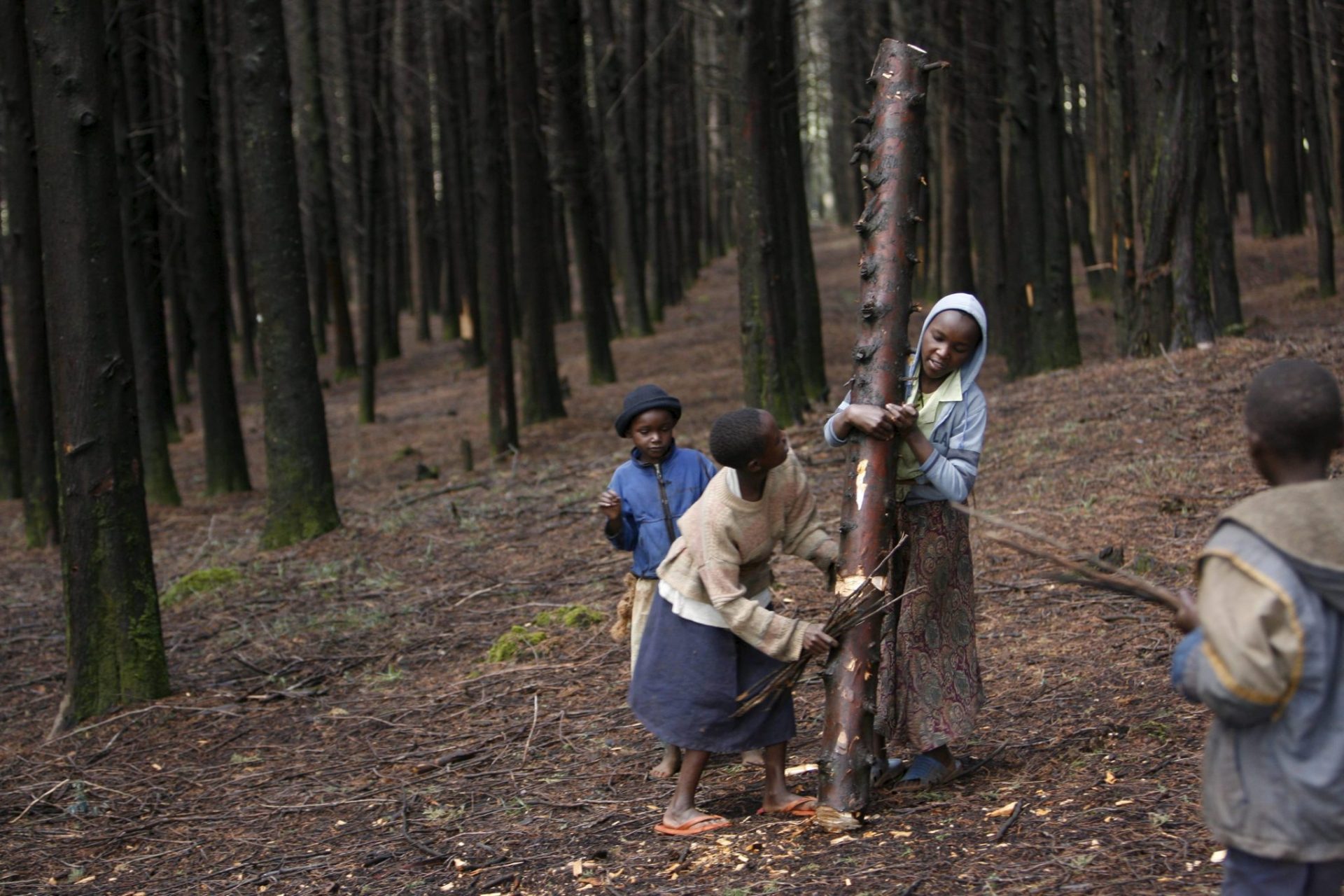 Unos niños cortan un tronco de árbol en un bosque de Kenia.
