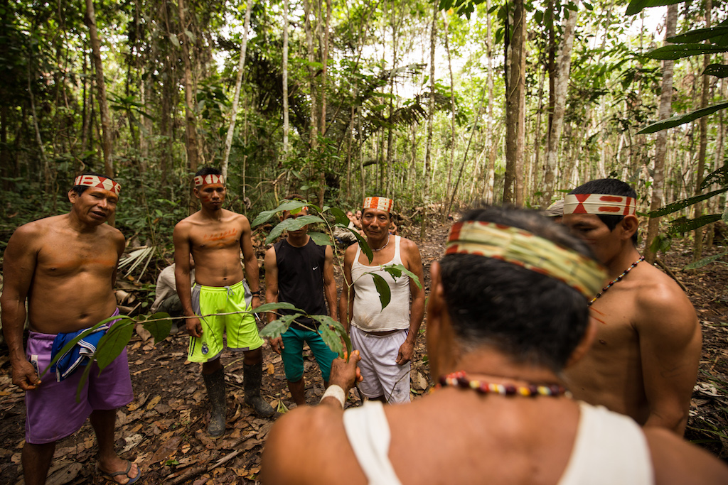 PIACI Alrededor de 200 indígenas del pueblo matsés retornarán desde Iquitos a su territorio ancestral. Foto: Tui Anandi y Mike van Kruchten / Xapiri.