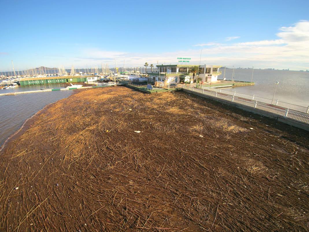 En Murcia tras las inundaciones toca retirar los variados objetos arrastrados al Mar Menor.