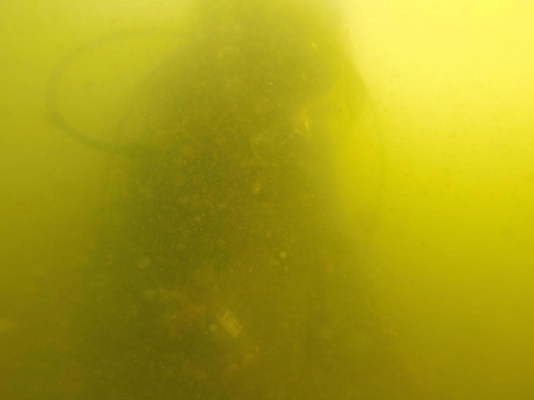 Color de las aguas del Mar Menor este agosto pasado, donde se puede advertir la presencia de un submarinista del equipo del IEO y de ANSE que han estudiado la situación de la laguna.