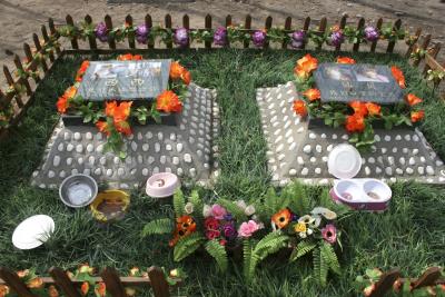 En China es tradición enterrar a los perros rodeados de lujo, como se muestra en este cementerio "El Paraíso de los Animales", en Pekín. 