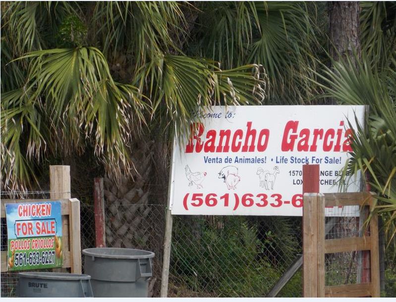 Uno de los ranchos que funcionaba como matadero ilegal.