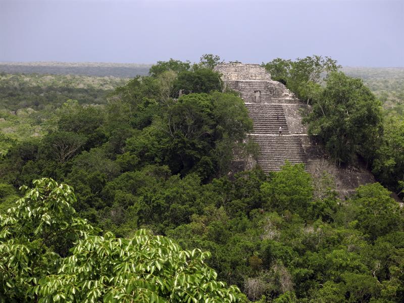 sitio arqueológico de Calakmul, en el estado de Campeche (península de Yucatán, México)