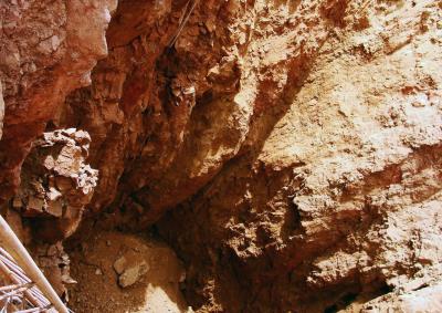 La minería, el cambio climático o la caza y el tráfico ilegal son algunos de los factores de riesgo.