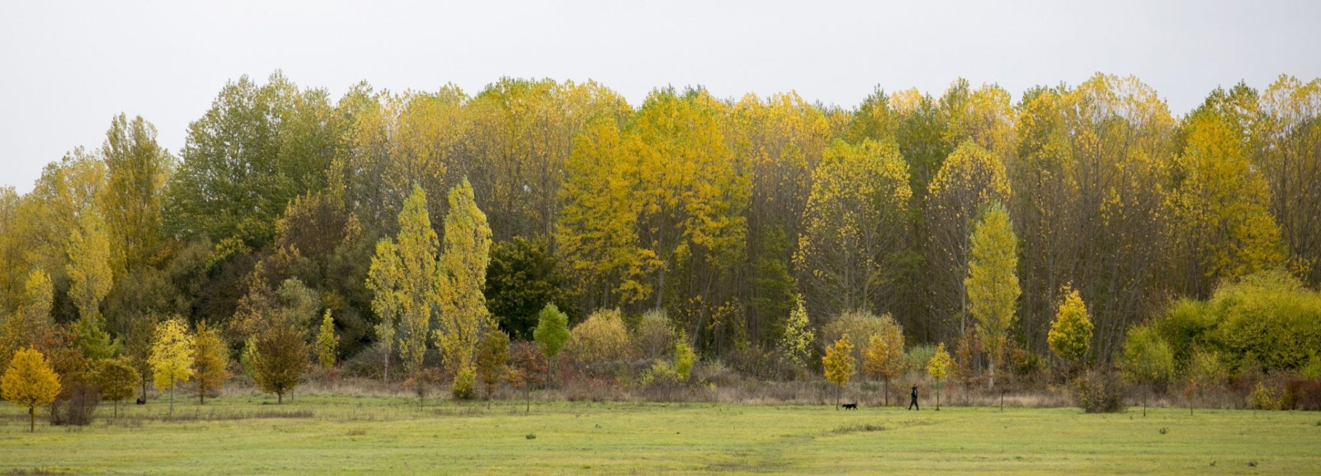 El aumento de CO2 en la atmósfera ha disminuido en los últimos años, segun un estudio de Berkeley.