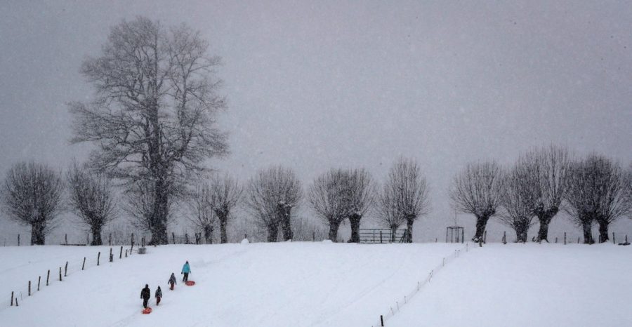 nieve