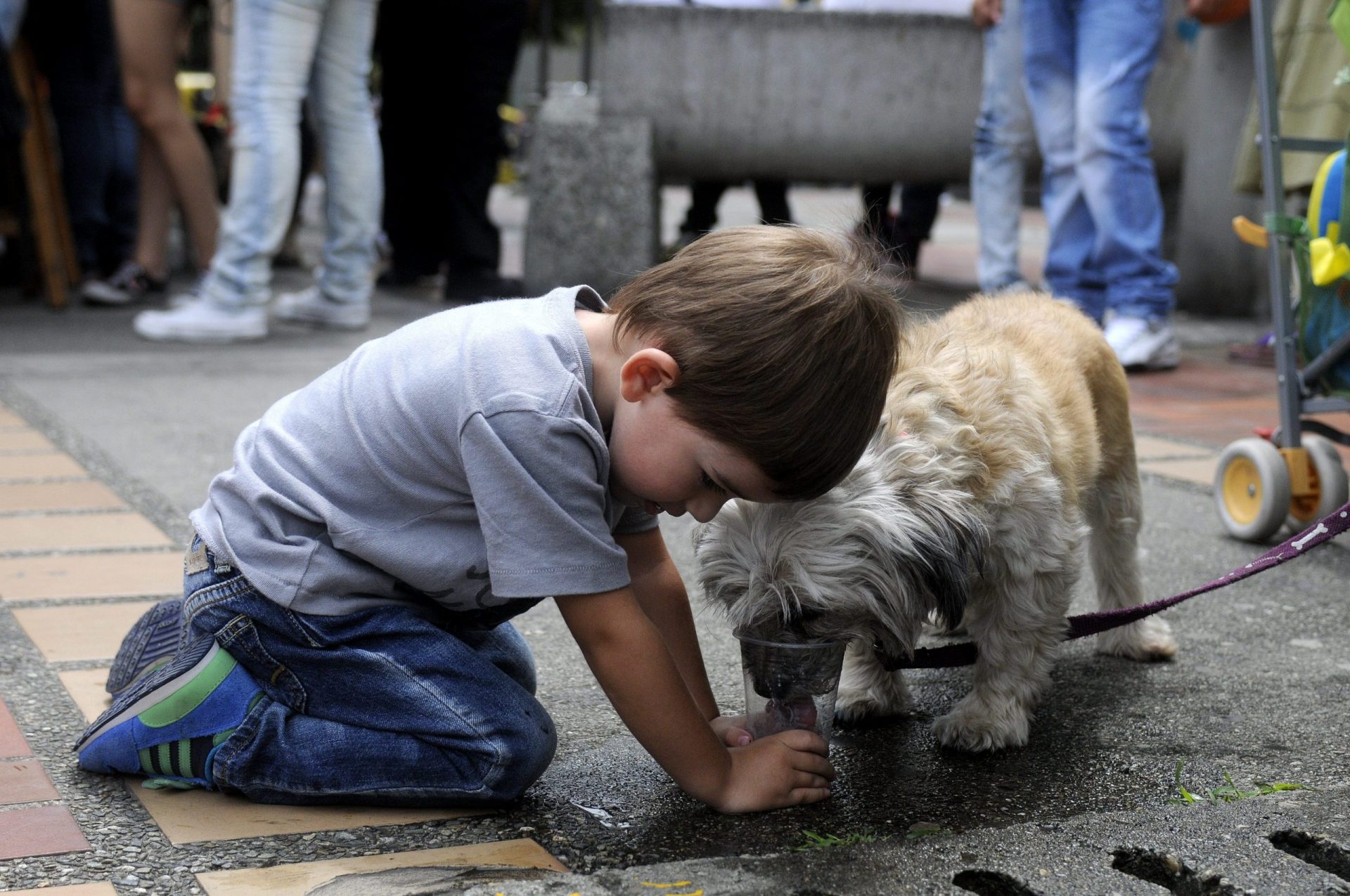 Un niño le da agua a su mascota.